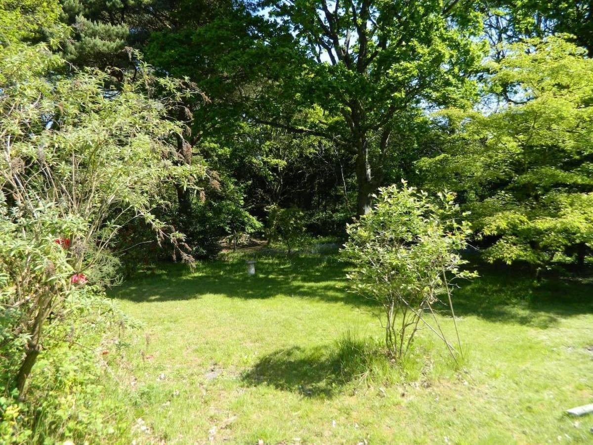 River Cottage A Country Retreat In Wooded Gardens East Stoke  Экстерьер фото